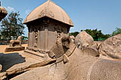 Mamallapuram - Tamil Nadu. The five Rathas. The group of Draupadi Ratha and Nandi the bull. 
